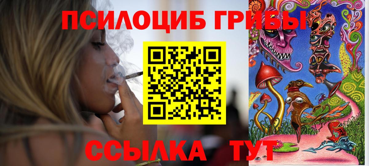 Галлюциногенные грибы Psilocybine cubensis  Вход с VPN  закладка  Берёзовский 